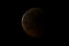 eclipse15-6-11-8.jpg (63892 bytes)